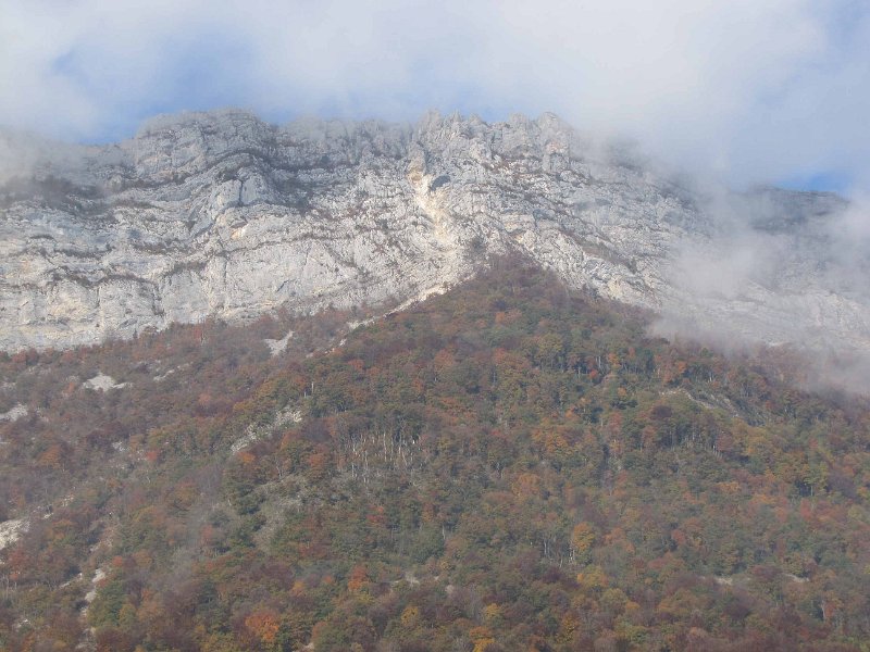Neron-novembre2011.jpg