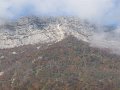 Neron-novembre2011
